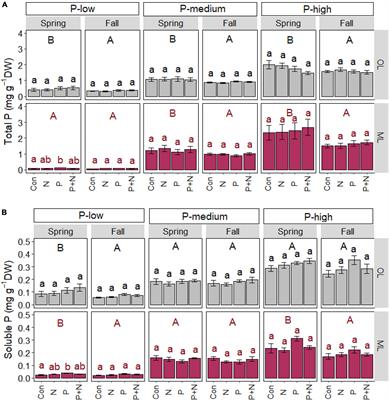 Fine root biomass of European beech trees in different soil layers show different responses to season, climate, and soil nutrients